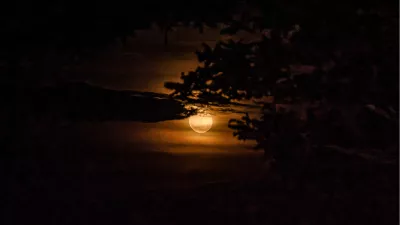 Oranje schijf tussen donkere takken, de foto