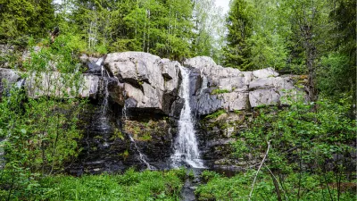 Bos met waterval, de foto