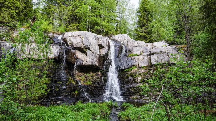 Smalle waterval over een grijze rotsrand tussen fris groen bos