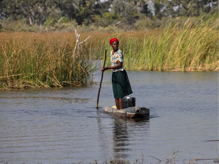 Vrouw met rode hoofddoek duwt een smalle kano met een stok door rietrijk water