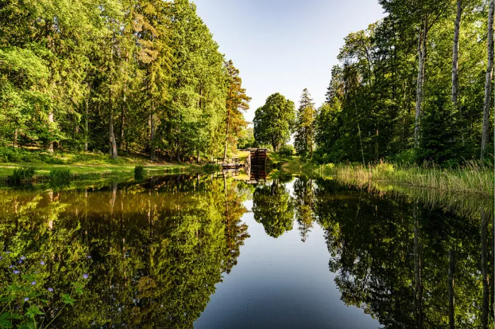 Spiegelglad kanaal tussen hoge bomen met een sluis in de verte