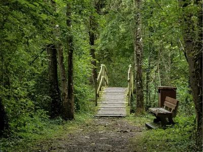 Brugje in het bos, de foto