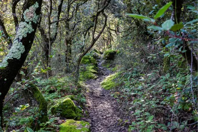Wandelen in Saint-Paul-trois-chateaux, de foto