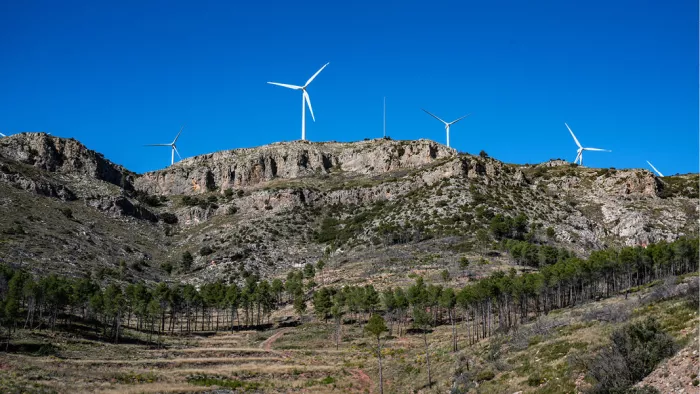 Witte windmolens op een rotsige bergkam boven een dennenbos
