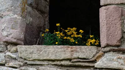 Gele bloemen in het venster, de foto