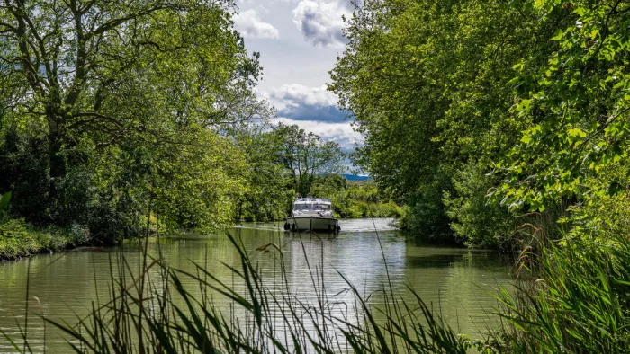 Plezierboot op een kanaal tussen groene oevers met riet op de voorgrond