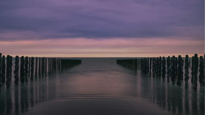 Twee rijen mosselpalen lopen de zee in onder een roze-paarse avondlucht