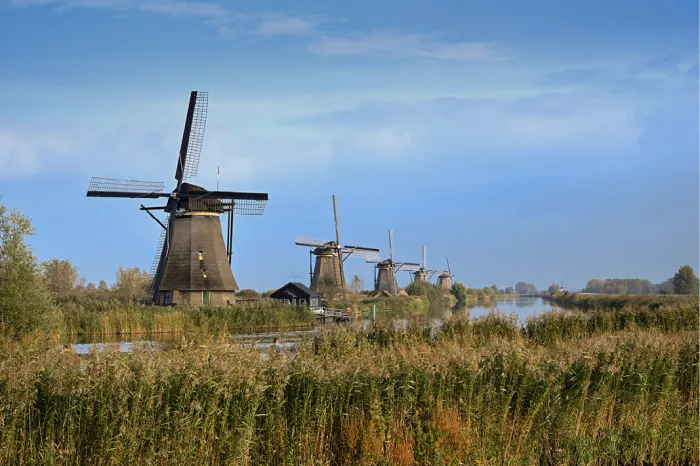 Rij Hollandse molens staat op een rij langs het water in Kinderdijk, met wuivend rietgras op de voorgrond onder een blauwe lucht met wolkensluiers.