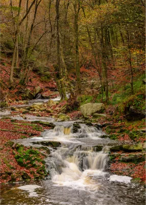 Herfstlandschap met kleine watervalletjes, de foto