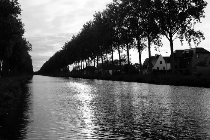 Damse Vaart met een bomenrij en huizen langs de oever, in zwart-wit