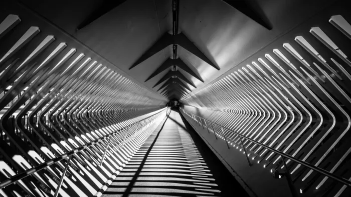Lange loopbrug met gebogen ribben aan weerszijden en strepen van zonlicht en schaduw op het wegdek.