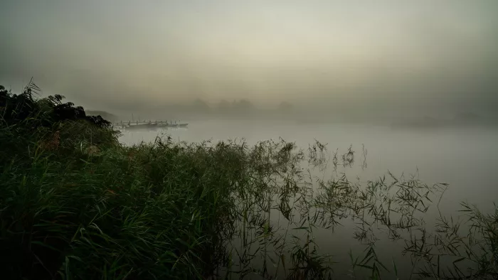 Mistig meer bij zonsopgang met riet op de oever en een steiger met bootjes die in de nevel verdwijnt.