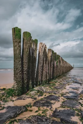 Verweerde wachters van de zee, de foto