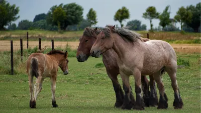 Kom achter ons schuilen, de foto