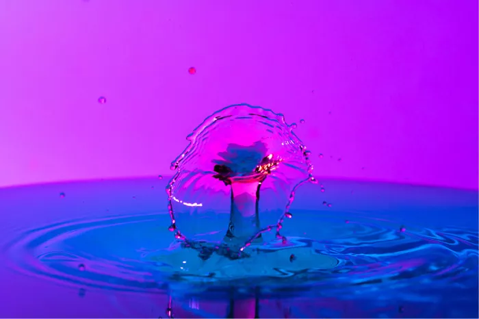 Rond waterscherm als een open bloem met roze kern, boven diepblauw water tegen een paarse achtergrond