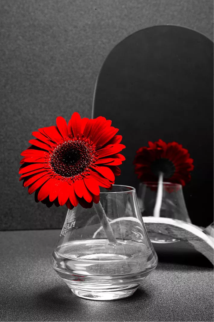 Rode margriet in een glas water met haar spiegelbeeld in een spiegel, verder in zwart-wit