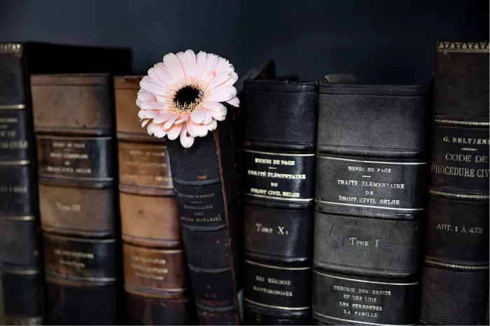 Rij oude leren wetboeken met gouden letters en een lichtroze margriet ertussen