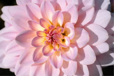 Pastelenergie, de foto