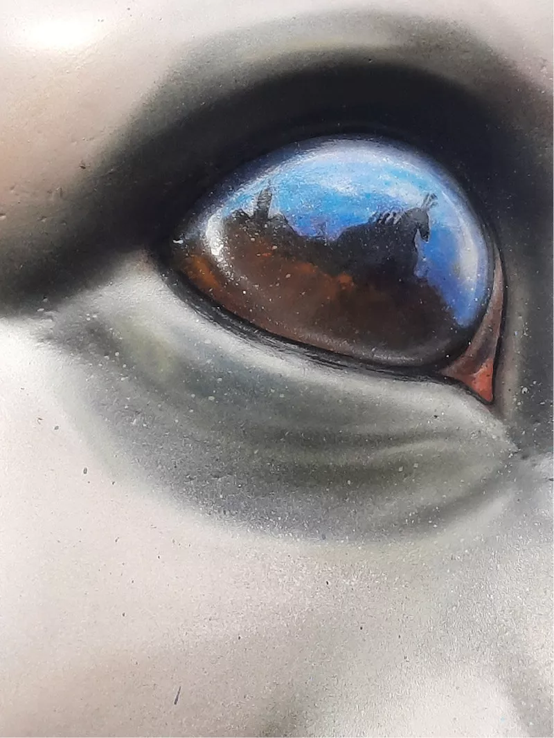 Close-up van een groot oog waarin het Ros Beiaard met zijn ruiters spiegelt