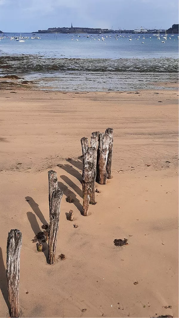 Rij oude houten paaltjes op een zandstrand met zicht op een stad aan zee