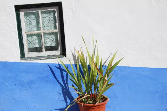 Wit huis met blauwe plint, scheef raampje met kanten gordijn en een plant in een pot