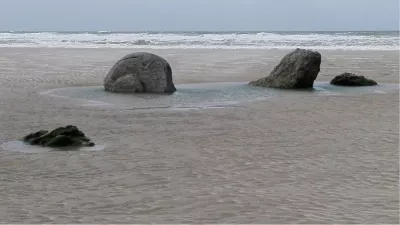 Rots in de branding, de foto