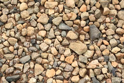 Kroonkurk tussen het Grind, de foto