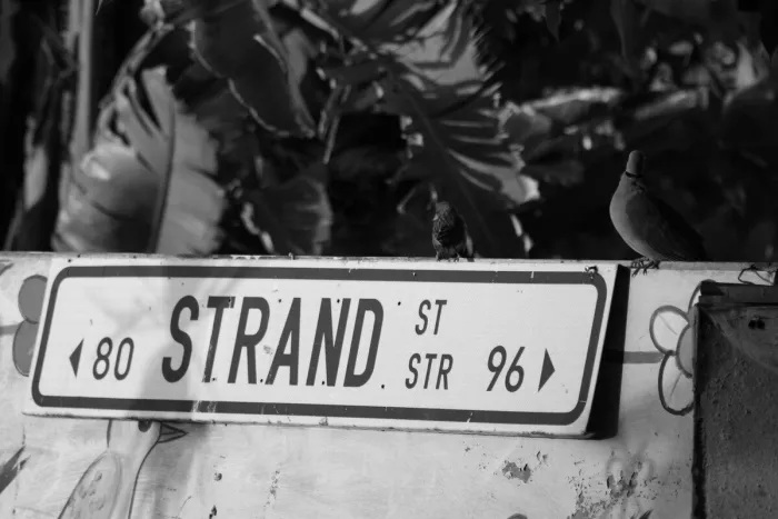 Straatbord Strand St met twee vogeltjes erboven, tegen donker bladerwerk en een beschilderde muur.