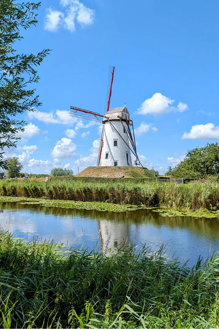 Witte windmolen met rode wieken langs de Damse Vaart, gespiegeld in het water onder een blauwe lucht