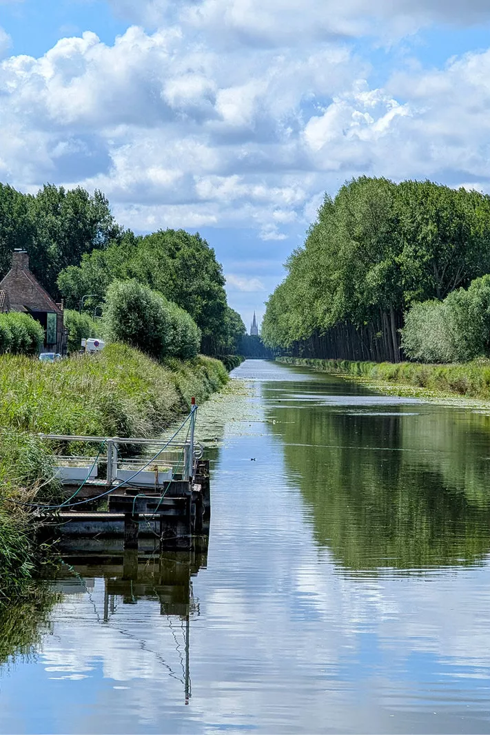 Damse Vaart tussen rijen bomen met wolken in het water en een kerktoren in de verte