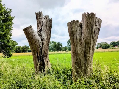Dood, maar indrukwekkend, de foto