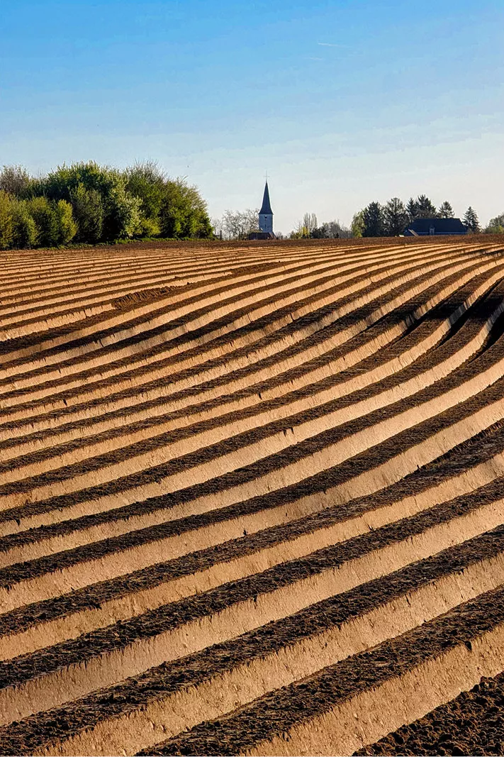 Pas geploegd veld met gebogen voren naar een kerkje met spitse toren onder een blauwe lucht