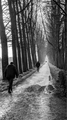 Wandeling naar de verte, de foto