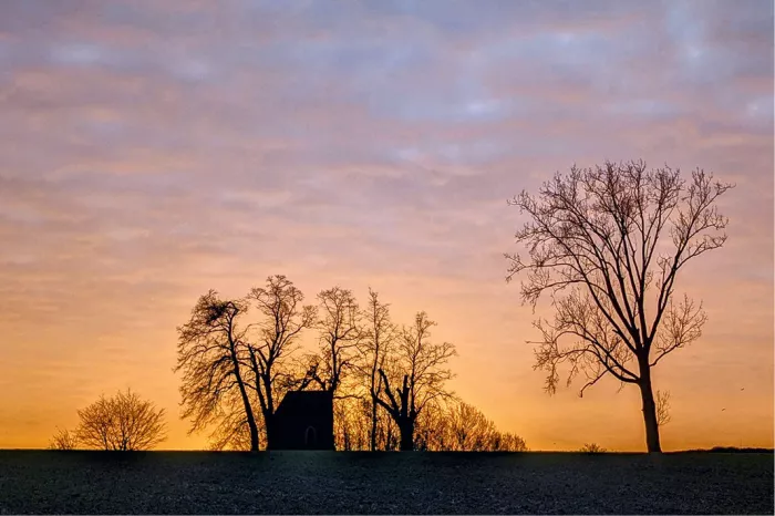 Silhouet van een kapel en kale bomen tegen een oranje en blauwe ochtendlucht