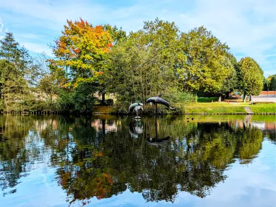 Waterspiegeling met dolfijnen, de foto
