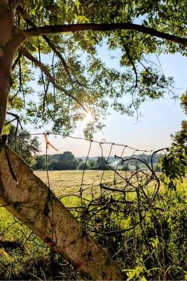 Beschutte blik op de zonnige vallei, de foto