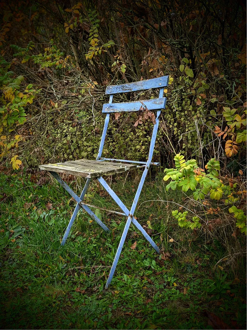 Blauwe houten klapstoel in het gras voor een donkere struik met herfstbladeren