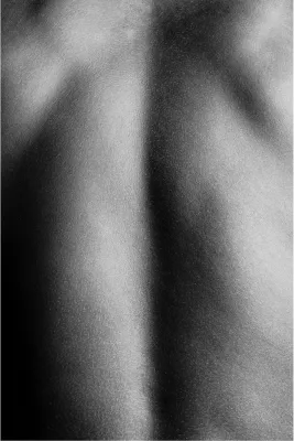 Body Abstracts 2, de foto