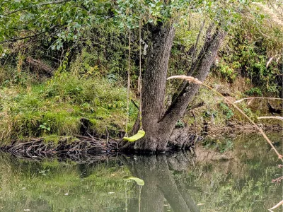 Onverwachte schommelplek, de foto
