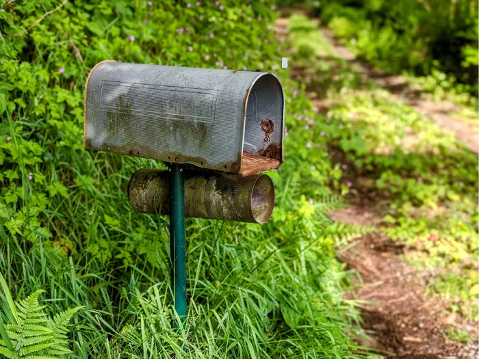 Oude metalen brievenbus met mos op een groene paal langs een begroeid bospad