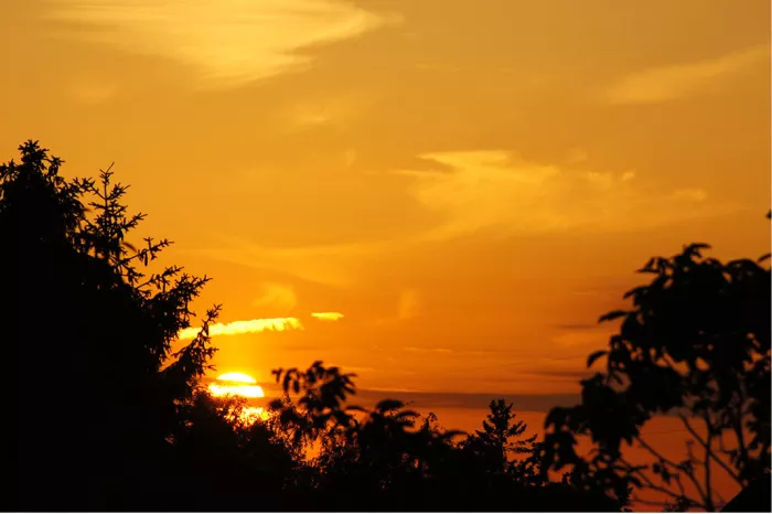 Intens oranje lucht bij zonsondergang met zwarte silhouetten van bomen