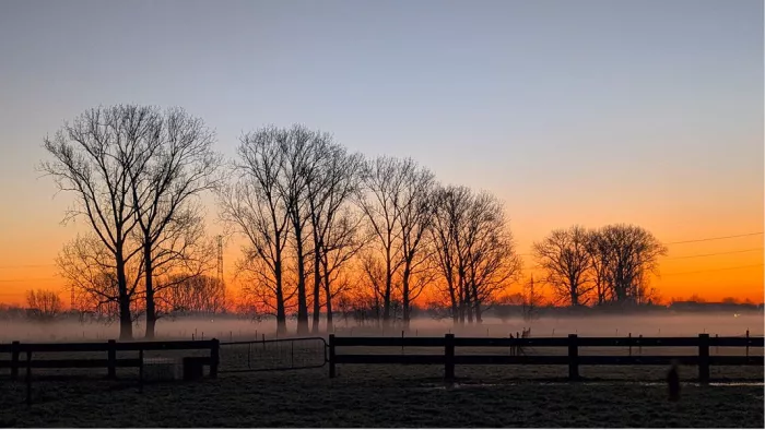 Kale bomen en een houten afsluiting als silhouet bij een oranje zonsopgang met mist