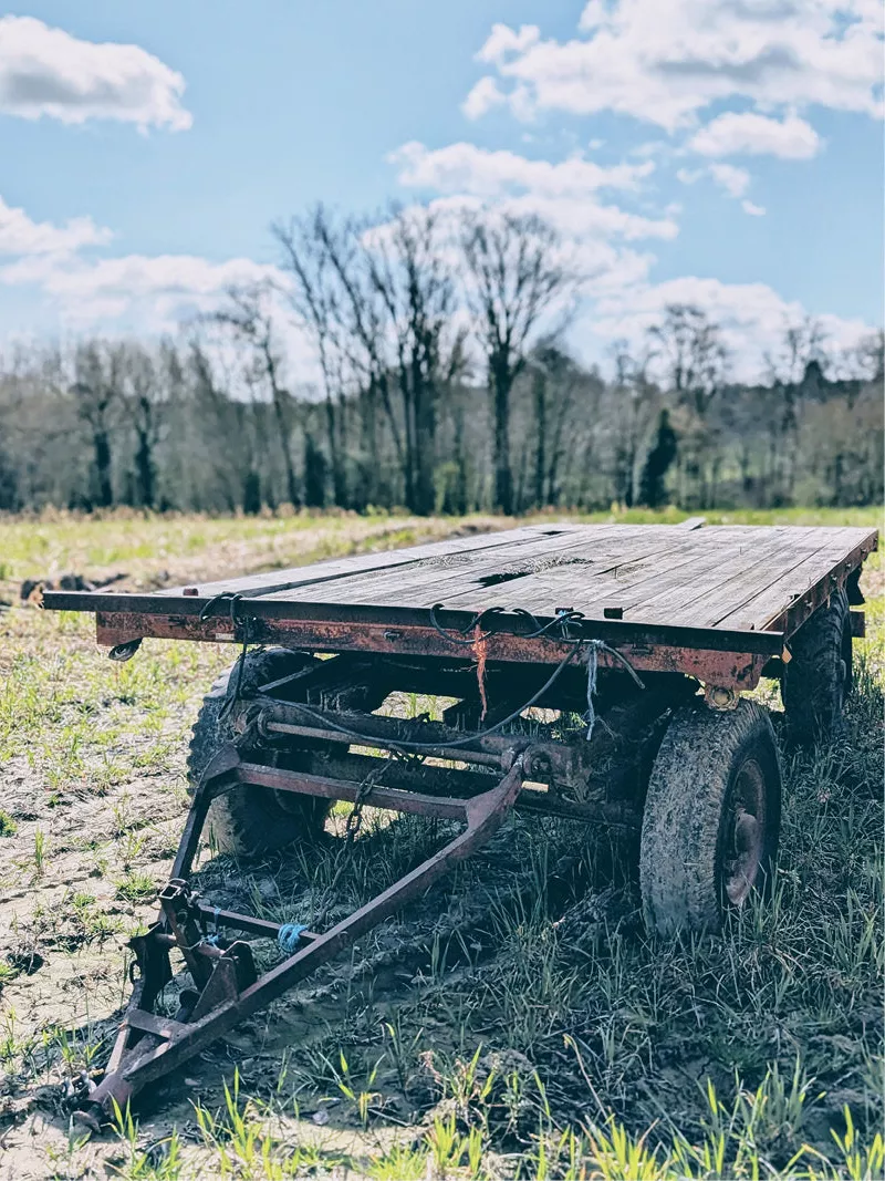 Oude boerenkar met houten laadvloer en roestig onderstel op een veld met kale bomen