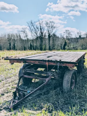 Boerenkar in verval, de foto