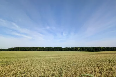 Tarwe met een uitzicht, de foto