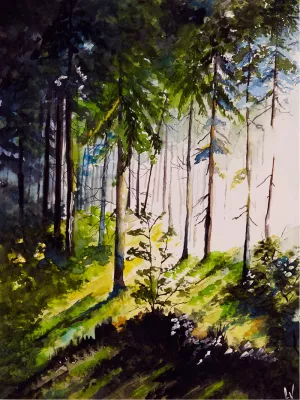 Forest, de foto