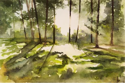 The sun between the trees, de foto