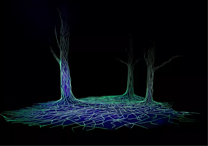 Drie bomen van groene en blauwe lichtlijnen met uitwaaierende wortels tegen een zwarte achtergrond