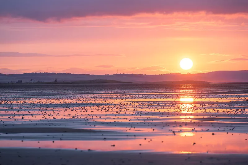 Ondergaande zon boven heuvels met een roze lucht en gouden reflecties op een nat strand met stenen