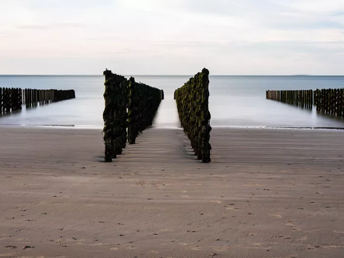 Twee rijen begroeide strandpalen die als een poort naar een gladde zee leiden, met zand ertussen